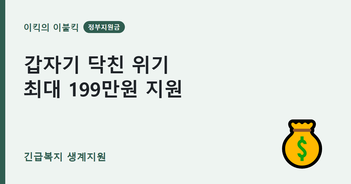4인 가구 최대 199만원 생계지원금 긴급복지 생계지원 위기상황 조건은 뭘까요